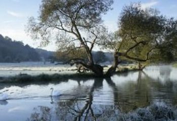 River Wey Scenic Wander – 12 miles. Beginners Walk