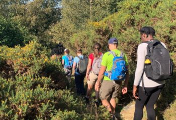 Colne Valley walk, Verulamium and St Albans Cathedral