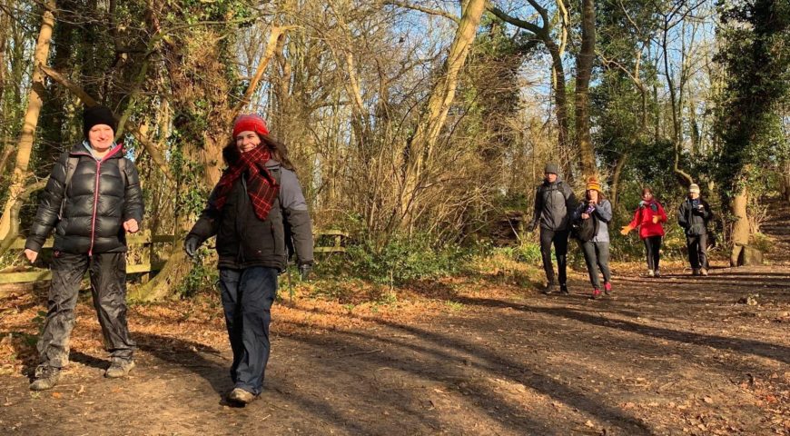 Burnham Beeches and the woodland country parks of Buckinghamshire