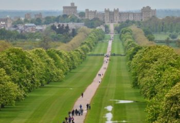 Weekday Walk: Runnymede and Windsor Great Park