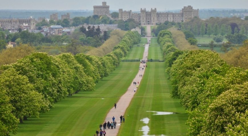 Weekday Walk: Runnymede and Windsor Great Park