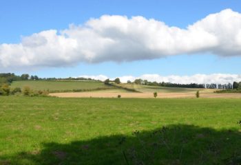 River Darent Hike- Castles and Lavender Fields of Kent