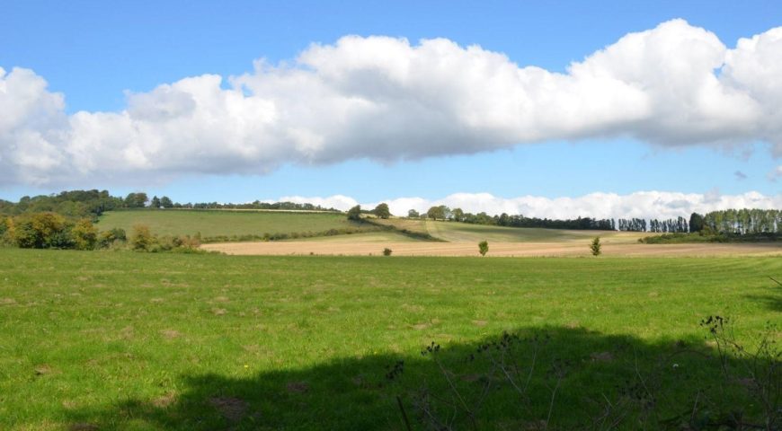 River Darent Hike- Castles and Lavender Fields of Kent