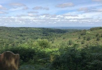 Devil's Punch Bowl Heavenly Heather and Bilberry Bonanza - hilly 25km / 15 miles