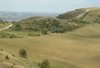 Weekday Walk- Chilterns Classic: Ivinghoe Beacon and Ashridge Estate