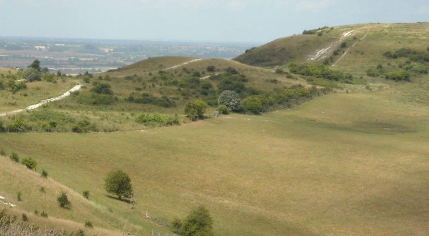 Weekday Walk- Chilterns Classic: Ivinghoe Beacon and Ashridge Estate