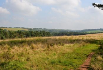 Hike the North Downs Way- Stage 1 Farnham to Guildford