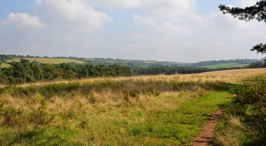 Hike the North Downs Way- Stage 1 Farnham to Guildford