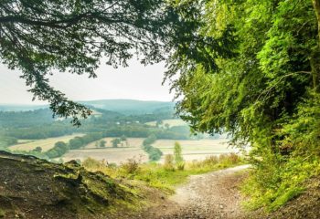 Hike the North Downs Way- Stage 2: Guildford to Box Hill