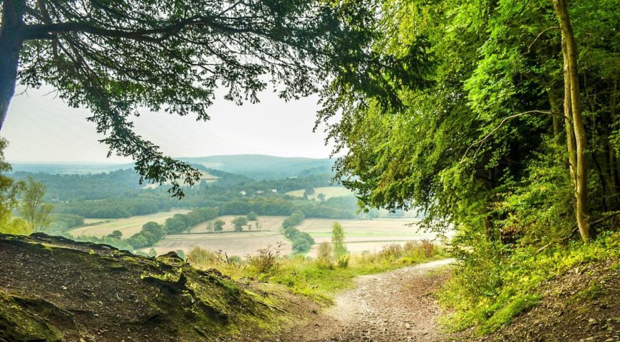 Hike the North Downs Way- Stage 2: Guildford to Box Hill