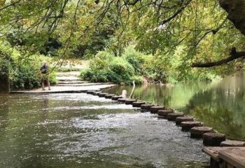 Denbies Vineyard, Box Hill & Stepping Stones, Epsom Downs Race Course linear 20k