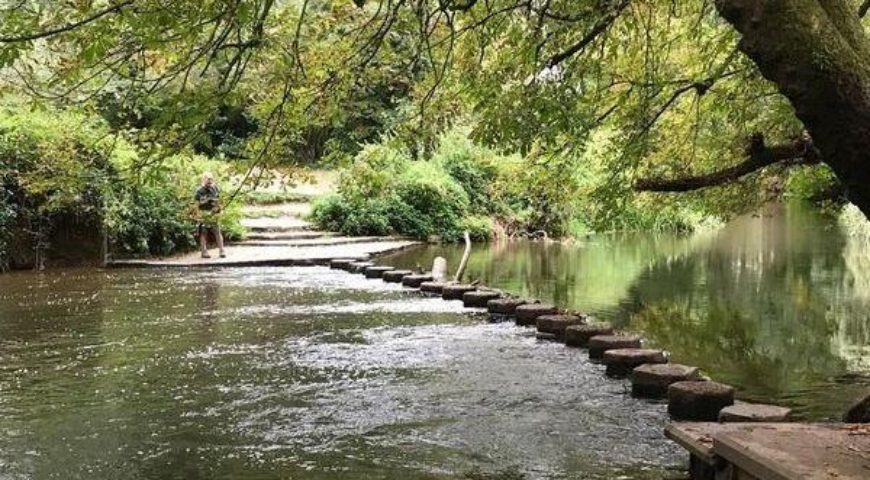 Denbies Vineyard, Box Hill & Stepping Stones, Epsom Downs Race Course linear 20k