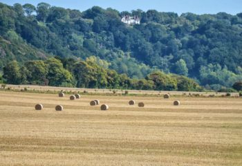 Hike the North Downs Way- Stage 4: We go Rogue