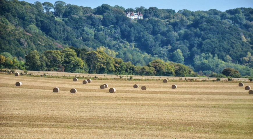 Hike the North Downs Way- Stage 4: We go Rogue