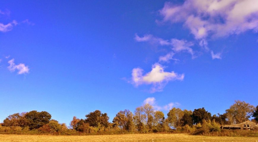 Hike the North Downs Way- Stage 5: Oxted to Otford