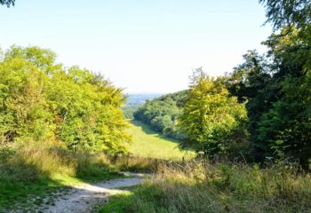 Hike the North Downs Way- Stage 6: Otford to Cuxton