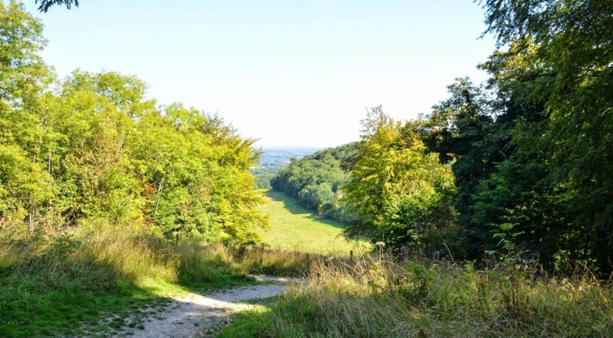 Hike the North Downs Way- Stage 6: Otford to Cuxton