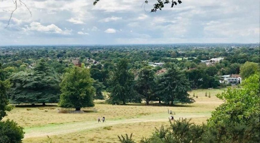 Wimbledon Common and Richmond Park 15km/9 mile Sunday afternoon hike