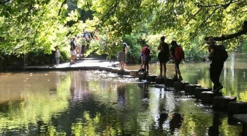 Hilly Denbies Vineyard, Box Hill & Stepping Stones 14km / 8.5 mile hike