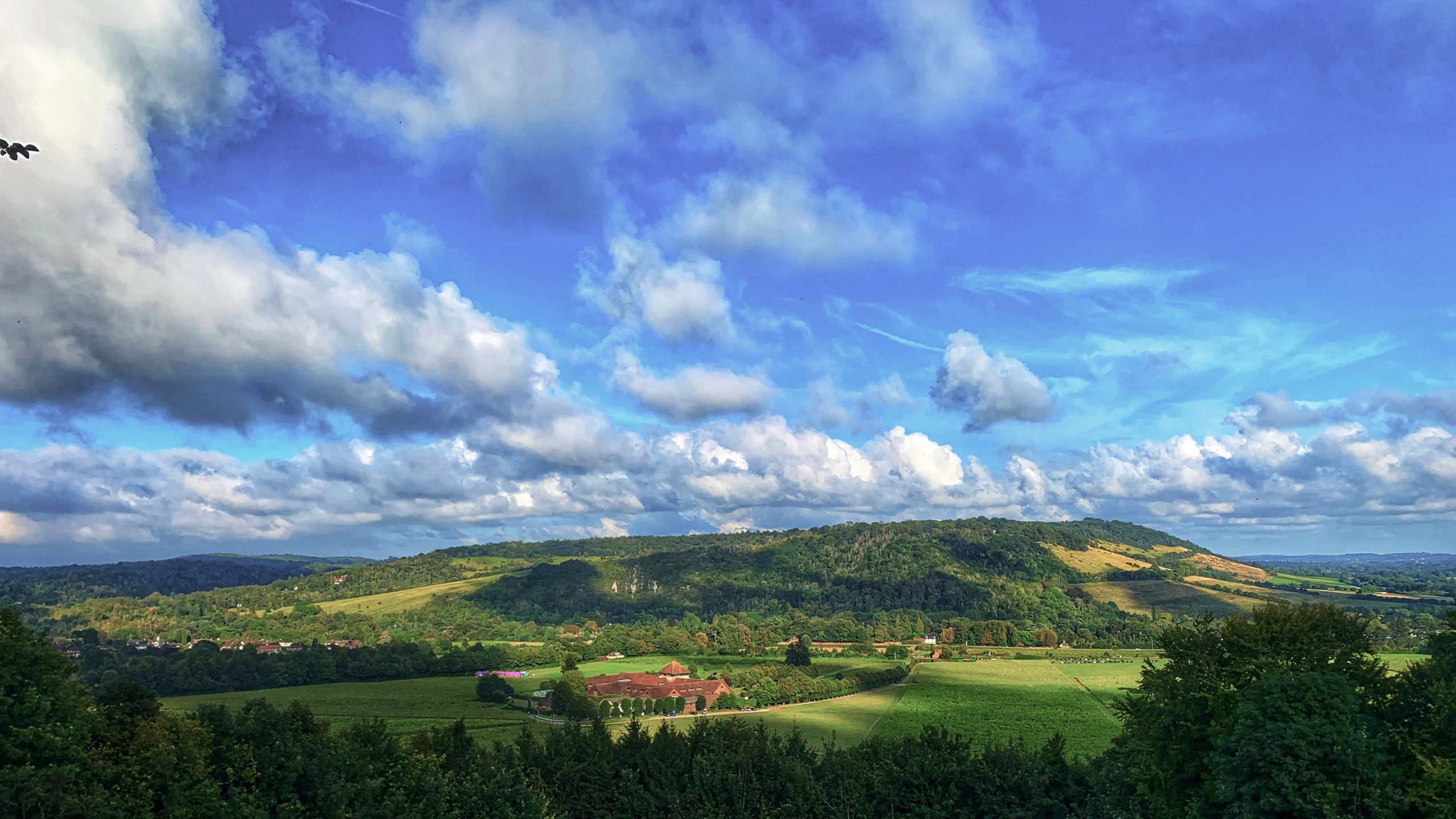 South Downs Winter Warmer and Arundel Christmas Market Go London